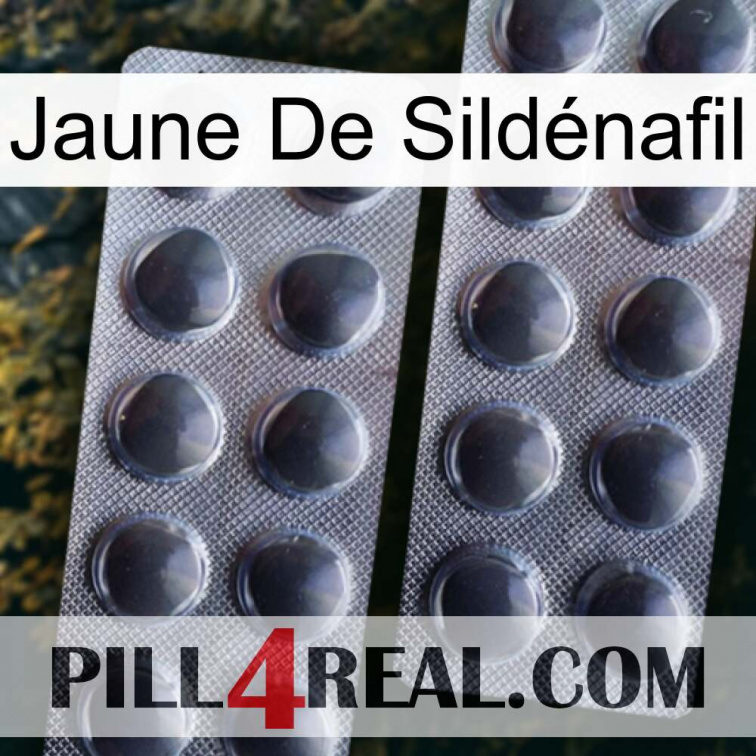 Jaune De Sildénafil 31